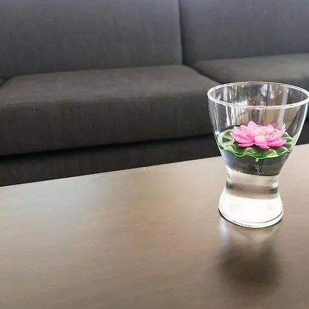 Atlantic El Tope 酒店 拉克鲁斯